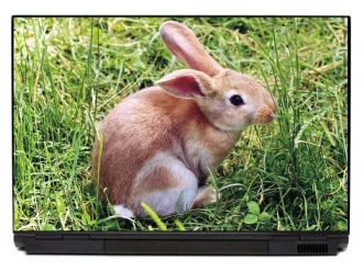 Laptop Sticker Rabbit In Grass P407
