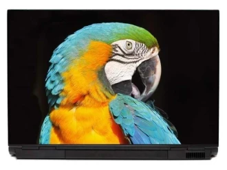 Laptop Sticker Parrot 0055