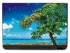 Laptop Sticker Paradise Tree P200