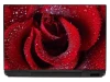 Laptop Sticker Rose 0042