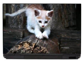 Laptop Sticker Creeping Kitten P446