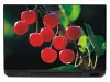 Laptop Sticker Juicy Cherries P366