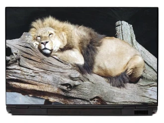 Laptop Sticker Sleeping Lion P390