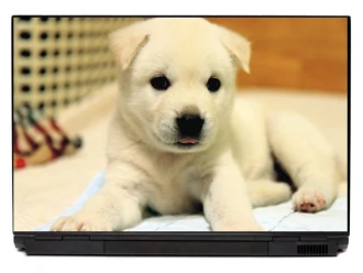 Laptop Sticker Puppy P415