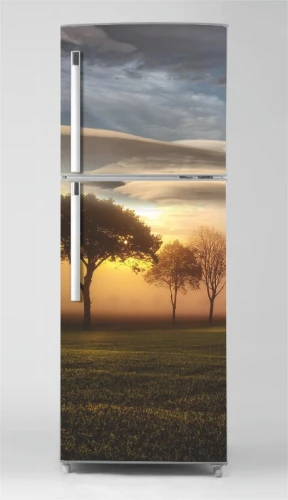 Wallpaper For Fridge Trees In Fog P1101
