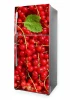 Wallpaper For Fridge Currants P1003