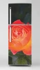 Fridge Sticker Rose P1111