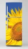 Fridge Sticker Sunflower P1117