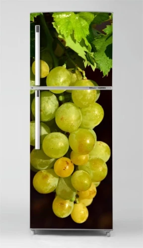 Wallpaper For Fridge Grapes P1008