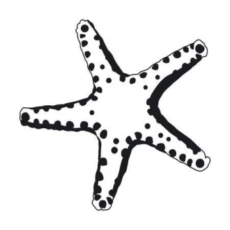 Starfish Wall Sticker 2105