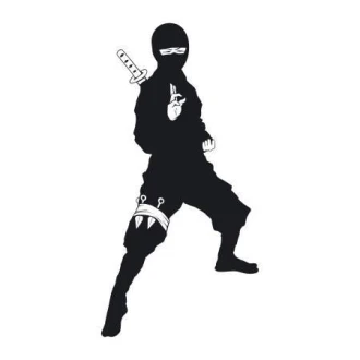 Wall Sticker Ninja Warrior 2099