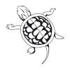 Wall Sticker Turtle 2107