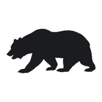 Bear Sticker 2134