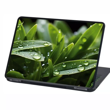 Sticker, Laptop Skin Grass with Water Droplets P558