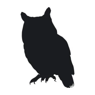 Owl Sticker 2136