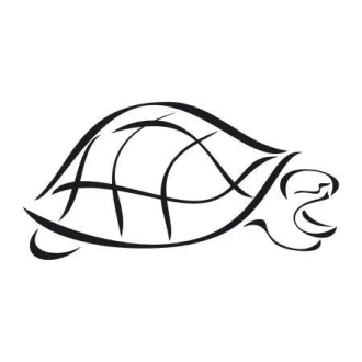 Turtle Sticker 1999