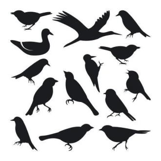 Bird Stickers Set 1896