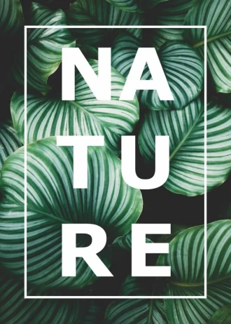 Poster Nature 048