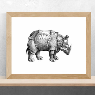 Poster rhinoceros 208