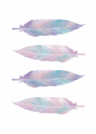Poster Feathers 079