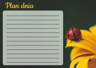 Dry-Erase Board Daily Planner Ladybug 358