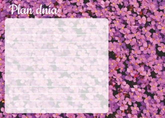 Dry-Erase Board Daily Planner Flowers 360