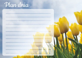 Dry-Erase Board Daily Planner Tulips 362