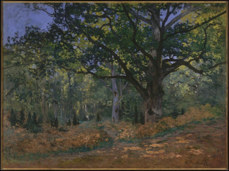 Reproduction The Bodmer Oak, Fontainebleau Forest, Claude Monet