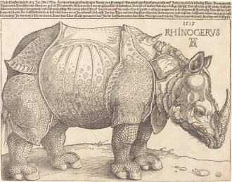 Reproduction The Rhinoceros, Albrecht Durer