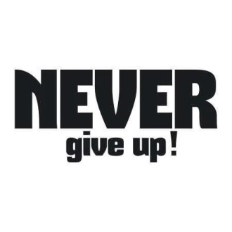 Painting Stencil 02X 18 Never Give Up 1716