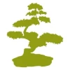 Painting Stencil Bonsai Tree 1673