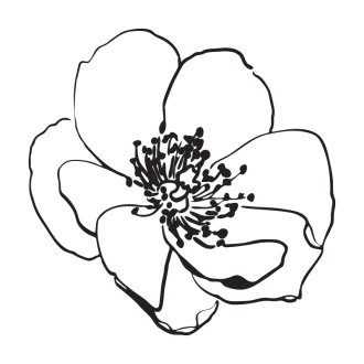 Painting Stencil Flower 2552