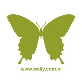 Painting Stencil Butterfly 013