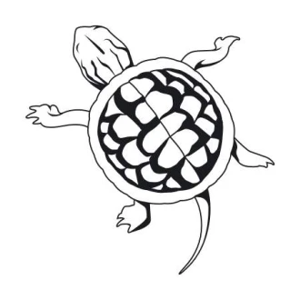 Wall Painting Stencil Turtle 2107