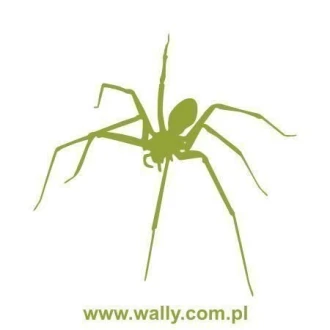 Painting Stencil Spider 1062