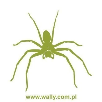 Painting Stencil Spider 1063