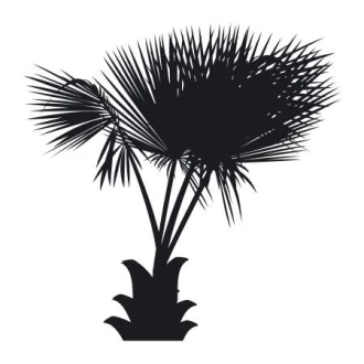 Painting Stencil Palm 2042
