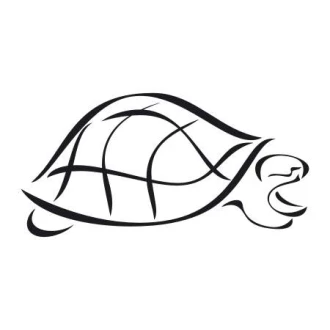 Painting Stencil Turtle 1999
