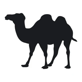 Chalkboard sticker camel 140