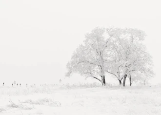 Magnetic Whiteboard Winter Landscape 229