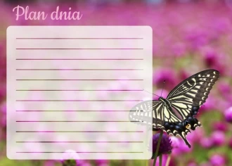 Dry Erase Magnetic Whiteboard Daily Planner Butterfly 366