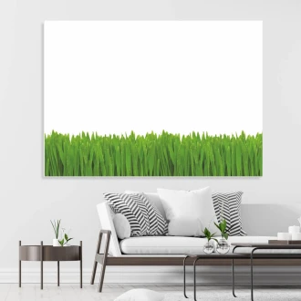 Whiteboard 01X 070 Wet Grass