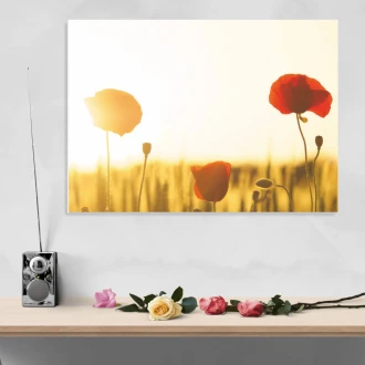 Dry-Erase Board 200 Poppies