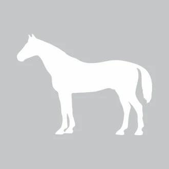 Dry-Erase Board Horse 330