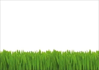 Magnetic Whiteboard Grass 01X 070