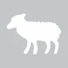 Dry-Erase Board Sheep 225