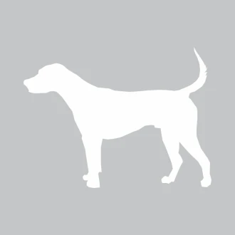 Dry-Erase Board Dog 358