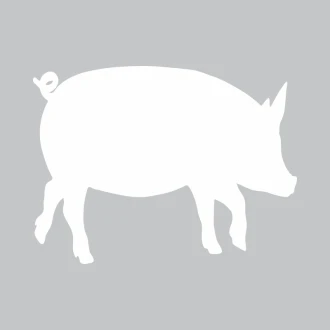 Dry-Erase Board Piggy 353