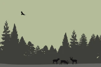 Wallpaper Deer On A Rut, A Dense Forest In The Background 0409