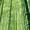 Wallpaper Bamboos, forest 0497